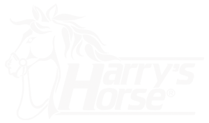 Harrys Horse Stabsporen strass Edelstahl 